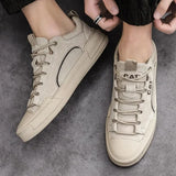 Oisín - Chic Sneakers
