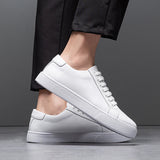 Seán - Chic Sneakers